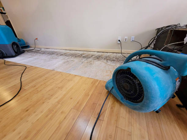 Professional Water Damage Repair technician working in Ronald, WA